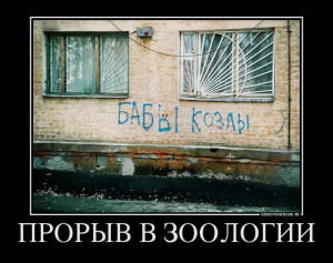 funnyCxAL08