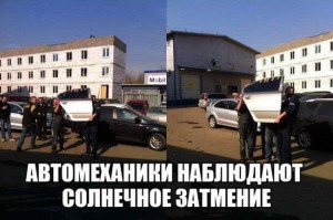 funnyD31UvY