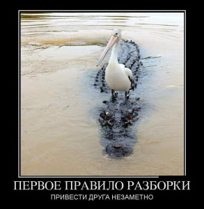 funnyDYPhEw