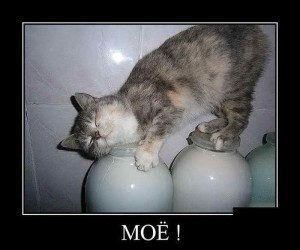 funnycC0dN0