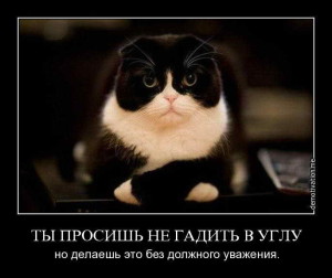 funnyd-Ts_Y